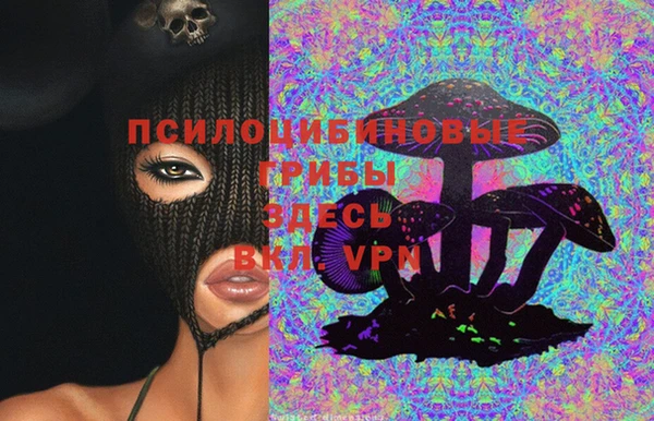 мяу мяу мука Аркадак