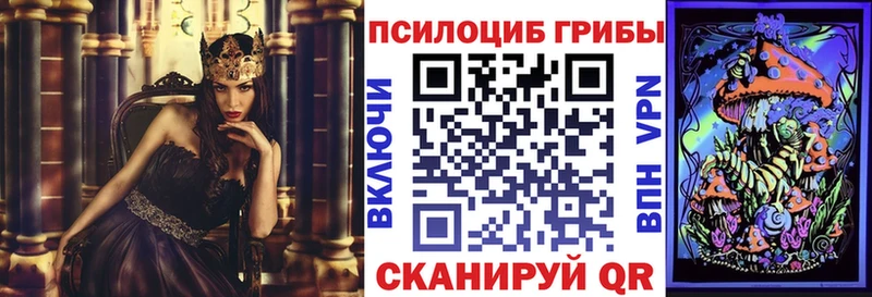 Псилоцибиновые грибы Magic Shrooms  хочу   Усть-Джегута 