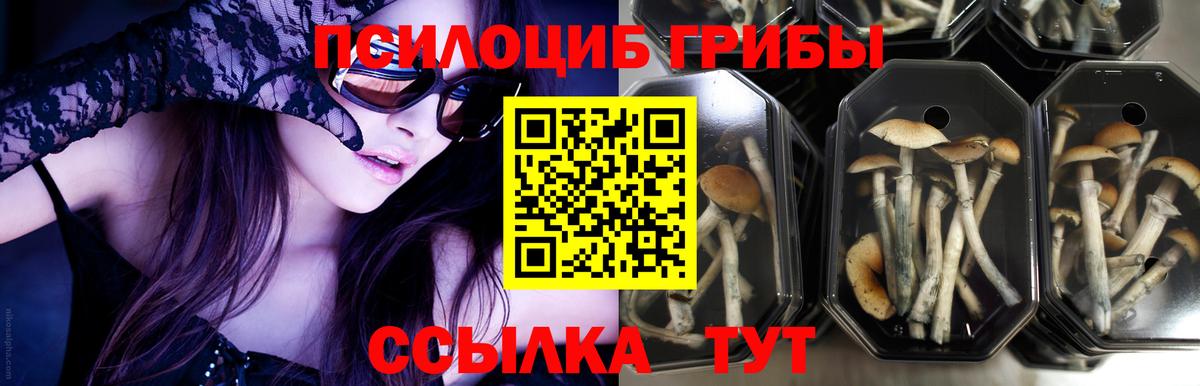 Псилоцибиновые грибы Magic Shrooms Усть-Джегута